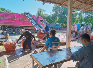 เข้าสังเกตุการณ์การรับซื้อ ขาย ยางพาราก้อนถ้วย ... พารามิเตอร์รูปภาพ 1