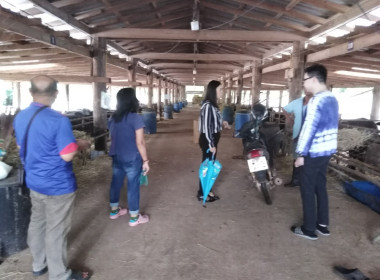 ร่วมกับสำนักงานตรวจบัญชีสหกรณ์แพร่ ... พารามิเตอร์รูปภาพ 16