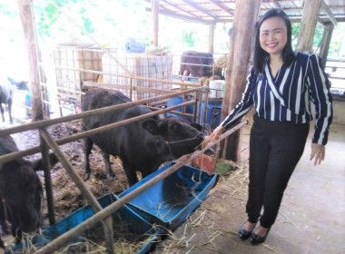 ร่วมกับสำนักงานตรวจบัญชีสหกรณ์แพร่ ... พารามิเตอร์รูปภาพ 11