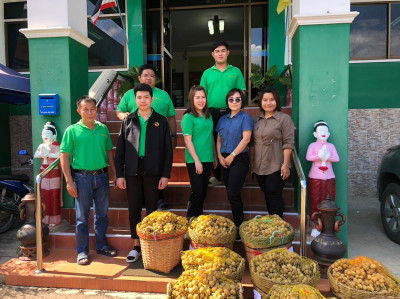 กลุ่มส่งเสริมและพัฒนาธุรกิจสหกรณ์ กระจายลองกองไทรย้อย ... พารามิเตอร์รูปภาพ 1