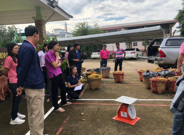 กลุ่มส่งเสริมและพัฒนาธุรกิจสหกรณ์ กระจายลองกองไทรย้อย ... พารามิเตอร์รูปภาพ 5