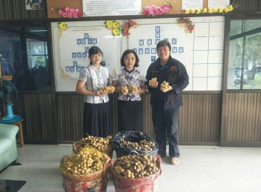 กลุ่มส่งเสริมและพัฒนาธุรกิจสหกรณ์ กระจายลองกองไทรย้อย ... พารามิเตอร์รูปภาพ 13