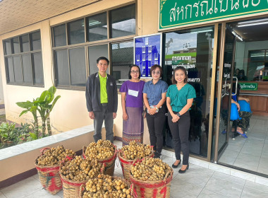 กลุ่มส่งเสริมและพัฒนาธุรกิจสหกรณ์ กระจายลองกองไทรย้อย ... พารามิเตอร์รูปภาพ 11