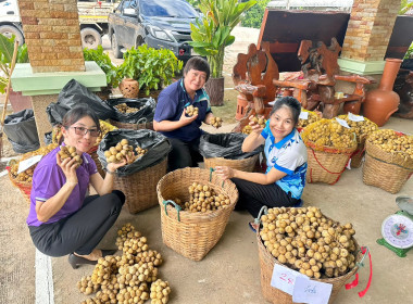 กลุ่มส่งเสริมและพัฒนาธุรกิจสหกรณ์ กระจายลองกองไทรย้อย ... พารามิเตอร์รูปภาพ 9