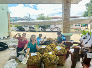 กลุ่มส่งเสริมและพัฒนาธุรกิจสหกรณ์ กระจายลองกองไทรย้อย ... พารามิเตอร์รูปภาพ 12