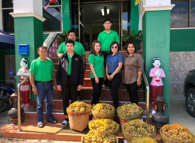 กลุ่มส่งเสริมและพัฒนาธุรกิจสหกรณ์ กระจายลองกองไทรย้อย ... พารามิเตอร์รูปภาพ 4