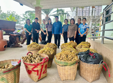 กลุ่มส่งเสริมและพัฒนาธุรกิจสหกรณ์ กระจายลองกองไทรย้อย ... พารามิเตอร์รูปภาพ 2