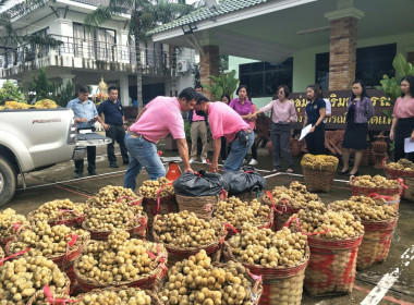 กลุ่มส่งเสริมและพัฒนาธุรกิจสหกรณ์ กระจายลองกองไทรย้อย ... พารามิเตอร์รูปภาพ 8