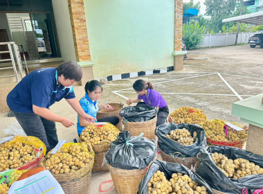 กลุ่มส่งเสริมและพัฒนาธุรกิจสหกรณ์ กระจายลองกองไทรย้อย ... พารามิเตอร์รูปภาพ 7