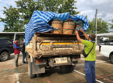 กลุ่มส่งเสริมและพัฒนาธุรกิจสหกรณ์ กระจายลองกองไทรย้อย ... พารามิเตอร์รูปภาพ 14