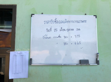 กลุ่มส่งเสริมและพัฒนาธุรกิจสหกรณ์ ... พารามิเตอร์รูปภาพ 12