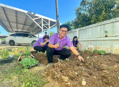 ทำกิจกรรมความมั่นคงทางอาหาร ... พารามิเตอร์รูปภาพ 6