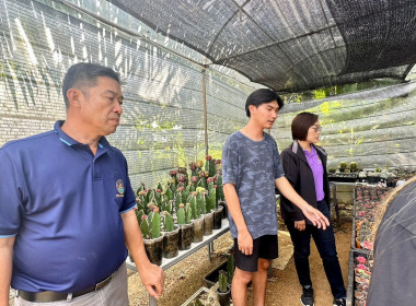 ลงพื้นที่ตรวจสอบคุณสมบัติการประกอบอาชีพเกษตรของเยาวชนเกษตรที่สมัครเข้าร่วมโครงการฝึกงานผู้นำเยาวชนเกษตรไทยในญี่ปุ่น ประจำปี 2567 ... พารามิเตอร์รูปภาพ 7