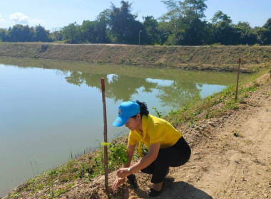 กลุ่มส่งเสริมสหกรณ์ 3 เข้าร่วมกิจกรรมจิตอาสาพัฒนา ... พารามิเตอร์รูปภาพ 6