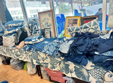 กลุ่มส่งเสริมและพัฒนาธุรกิจสหกรณ์และกลุ่มส่งเสริมสหกรณ์ 1 ... พารามิเตอร์รูปภาพ 11