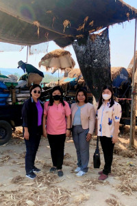 กลุ่มส่งเสริมและพัฒนาธุรกิจสหกรณ์ และกลุ่มส่งเสริมสหกรณ์ 3 ... พารามิเตอร์รูปภาพ 1