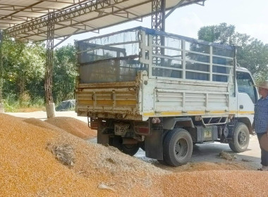 กลุ่มส่งเสริมและพัฒนาธุรกิจสหกรณ์ และกลุ่มส่งเสริมสหกรณ์ 3 ... พารามิเตอร์รูปภาพ 9