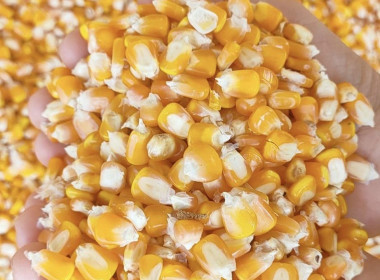 กลุ่มส่งเสริมและพัฒนาธุรกิจสหกรณ์ และกลุ่มส่งเสริมสหกรณ์ 3 ... พารามิเตอร์รูปภาพ 4