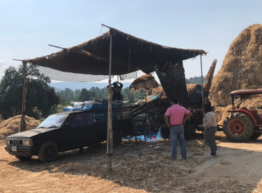 กลุ่มส่งเสริมและพัฒนาธุรกิจสหกรณ์ และกลุ่มส่งเสริมสหกรณ์ 3 ... พารามิเตอร์รูปภาพ 11