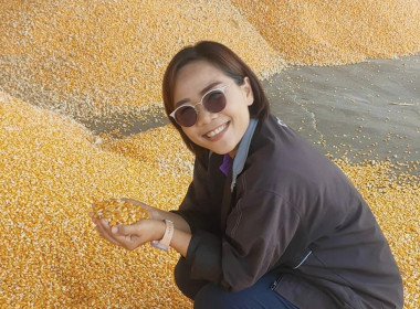 กลุ่มส่งเสริมและพัฒนาธุรกิจสหกรณ์ และกลุ่มส่งเสริมสหกรณ์ 3 ... พารามิเตอร์รูปภาพ 3