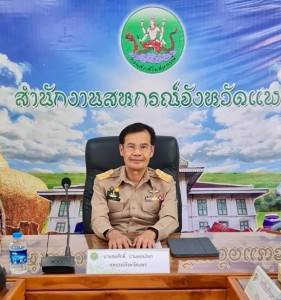 สหกรณ์จังหวัดแพร่ ... พารามิเตอร์รูปภาพ 1