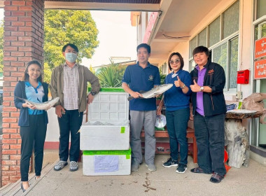 กลุ่มส่งเสริมและพัฒนาธุรกิจสหกรณ์ พร้อมด้วยขบวนการสหกรณ์ ... พารามิเตอร์รูปภาพ 1