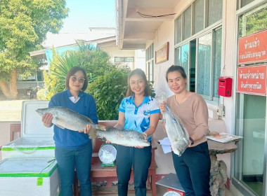 กลุ่มส่งเสริมและพัฒนาธุรกิจสหกรณ์ พร้อมด้วยขบวนการสหกรณ์ ... พารามิเตอร์รูปภาพ 4