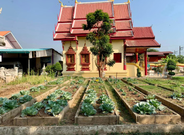 กลุ่มจัดตั้งและส่งเสริมสหกรณ์ ลงพื้นที่ แนะนำ ... พารามิเตอร์รูปภาพ 3